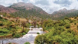 Taif landscape